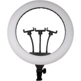 رینگ لایت 18 اینچ گرین لاین مدل Green Lion GLR-18 Ring Light