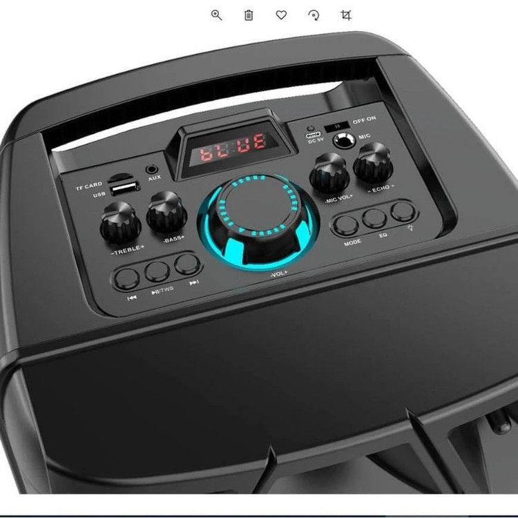 اسپیکر قابل حمل بلوتوثی (16 اینچ) ZQS8210
