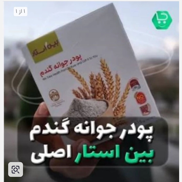 پودر جوانه گندم بین استار اصلی