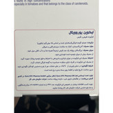 قرص لیکوپن یوروویتال 60 عددی کمک به سلامت سیستم قلبی و عروقی