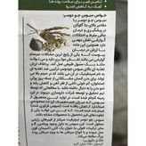 کپسول نیچرفیت دیموند 60 عدد کاهش اشتها و دفع کالری