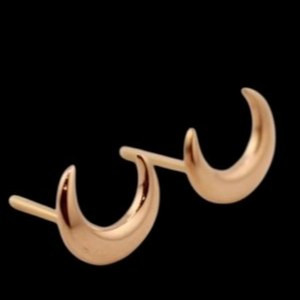گوشواره میخی طلا 18عیار ماه دامله 0.480گرم