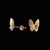 گوشواره طلا 18عیار میخی پروانه سلنا 1.640گرم